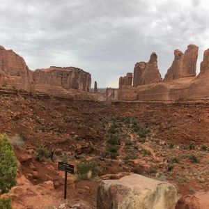 Meet your Posher, Marilyn